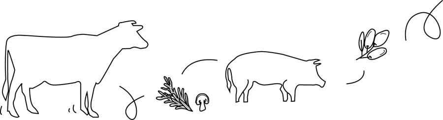 Pictogrammes viande